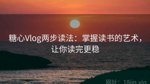 糖心Vlog两步读法：掌握读书的艺术，让你读完更稳