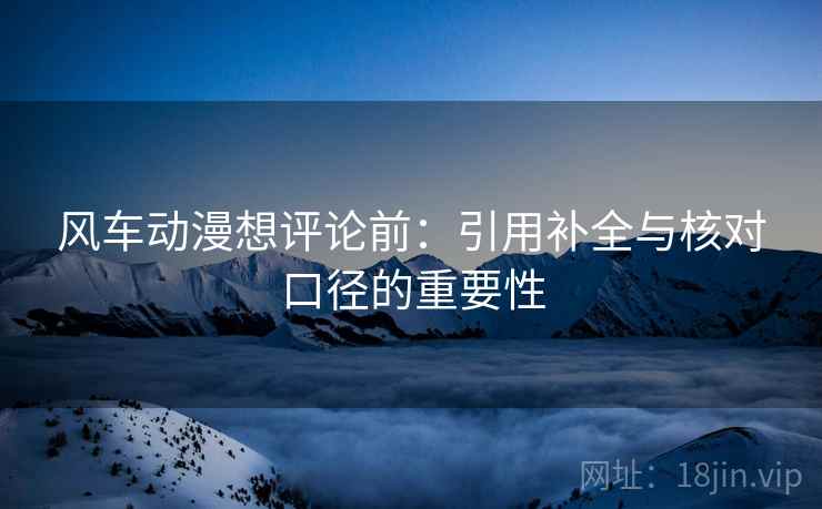 风车动漫想评论前:引用补全与核对口径的重要性 风车动漫想评论前:引用补全与核对口径的重要性