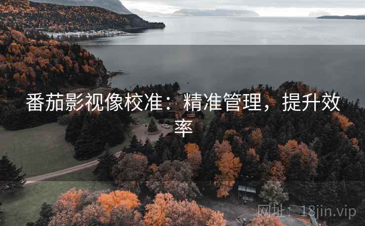 番茄影视像校准：精准管理，提升效率