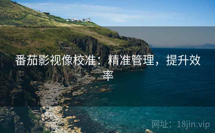 番茄影视像校准：精准管理，提升效率