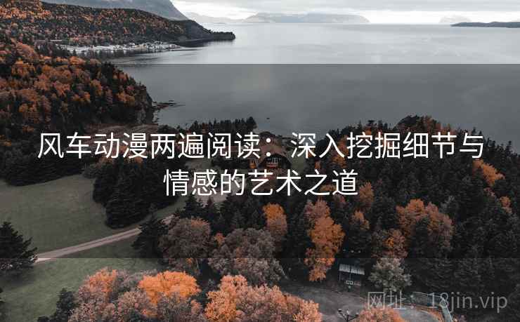 风车动漫两遍阅读：深入挖掘细节与情感的艺术之道
